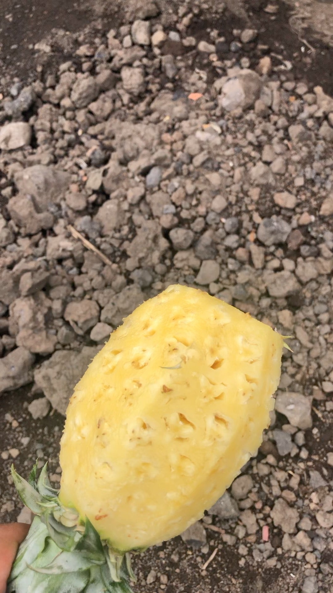 Une petite pause sur la route de Penja